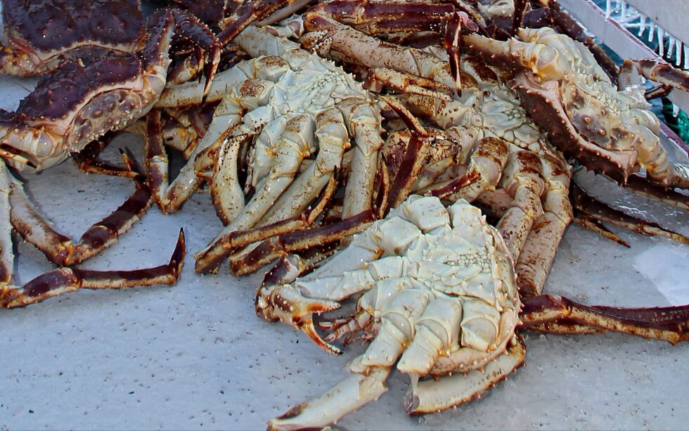 Den utenlandske mannen må møte i Indre Finnmark tingrett etter å ha "fisket" etter krabber.
Illustrasjonsfoto: Torbjørn Ittelin
 Foto: Torbjørn Ittelin