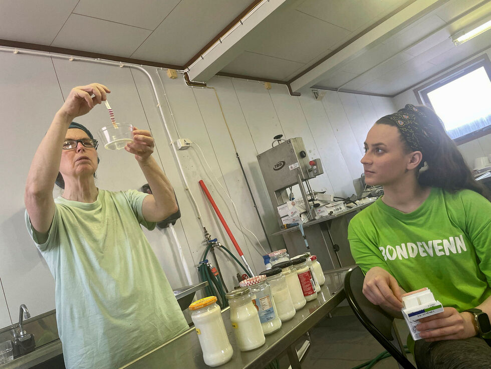 Pascale Baudonnel kalles ostedronningen, eller ystedronningen. Denne uka holdt hun kurs på Tana videregående skole. Her måler hun pH-verdien ved hjelp av kursdeltaker Celina Marie Rødbotten.
 Foto: Birgitte Wisur Olsen