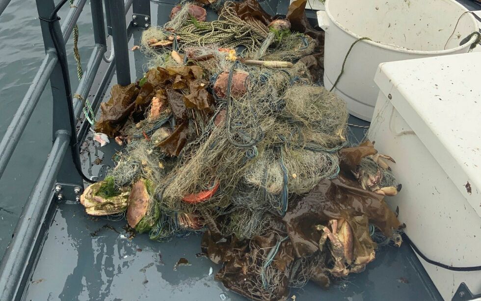 Kontroller i forbindelse med torskefiske i Nord-Norge har resultert i flere reaksjoner – blant annet to anmeldte saker.
BEGGE FOTO: FISKERIDIREKTORATET