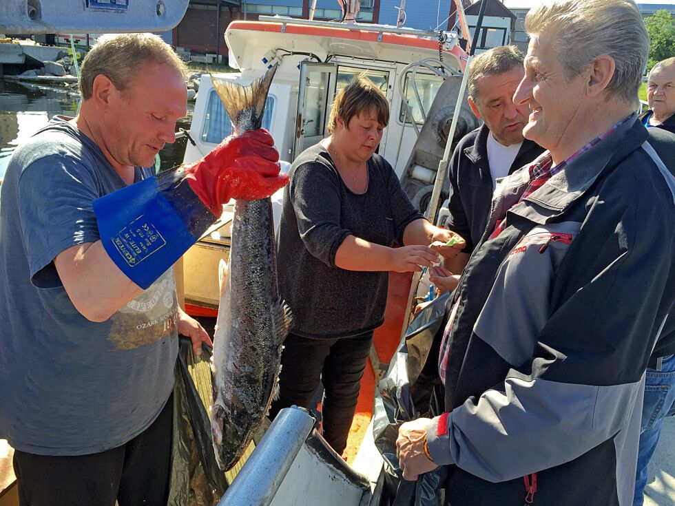 Willy Pedersen roser fisker Trond Kristiansen og medhjelper Renate Lemika for at de selger laks fra kaia, slik at flest mulig kan få kjøpt laks.
 Foto: Hallgeir Henriksen (arkiv)
