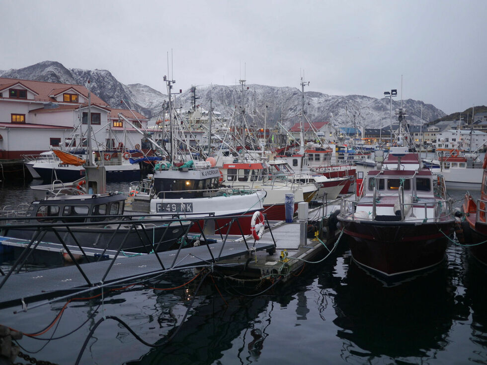 Ill.foto av indre havn i Honningsvåg: Geir Johansen