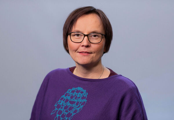 Å kjenne igjen et samepolitisk gjennomslag