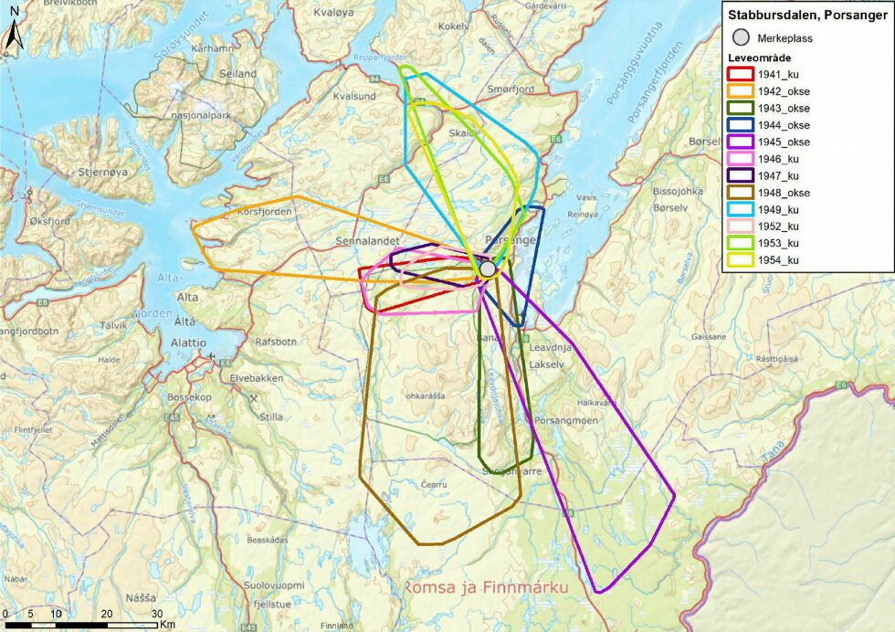 Den lille grå sirkelen viser merkeområdet i Stabbursdalen. De fargede strekene viser leveområdet til hver enkelt av de merkede elgene. Bildet er hentet fra NIBIO sin rapport om GPS-prosjektet.
 Foto: skjermdump