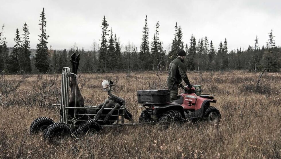 Utmarkshøstere må bruke motorisert kjøretøy for å komme seg fram. Illustrasjonsbilde.
 Foto: Miljødirektoratet