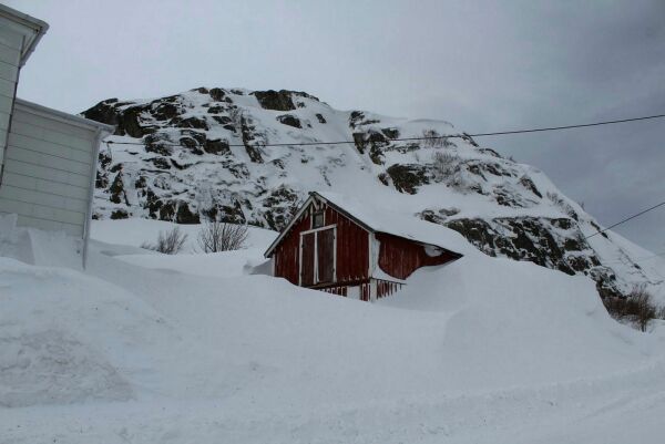 Værutsatte Bugøynes
