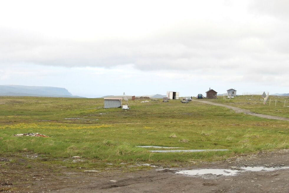 Rein­ei­er­ne bor i enk­le hyt­ter og camp­ing­vogn­er ved rein­gjer­det på Ma­ger­øya un­der kalve­mer­kin­ga. Kniv­skjell­od­den ved Nord­kappla­tå­et skim­tes til venst­re på bil­det. Foto: Eli­se Emb­la Schee­le