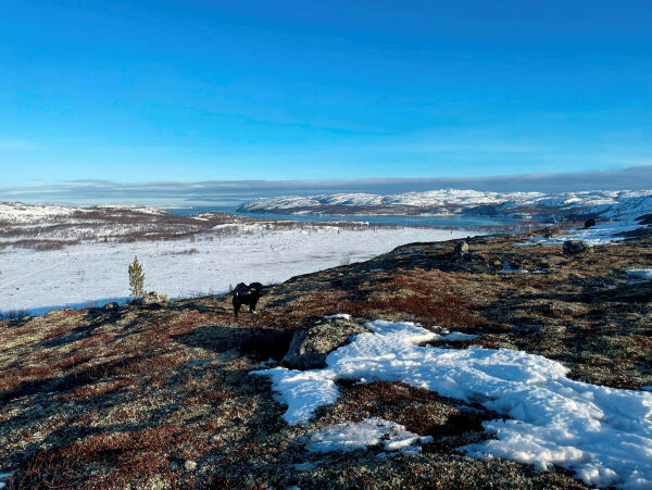 Lite sne på fjellet