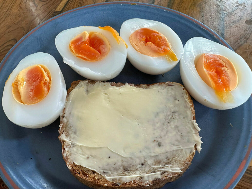 Årets måseegg er av ypperste klasse, og smakte aldeles utmerket med sin eksemplarisk hvite eggehvite og frisk farge på plommen.
 Foto: Hallgeir Henriksen