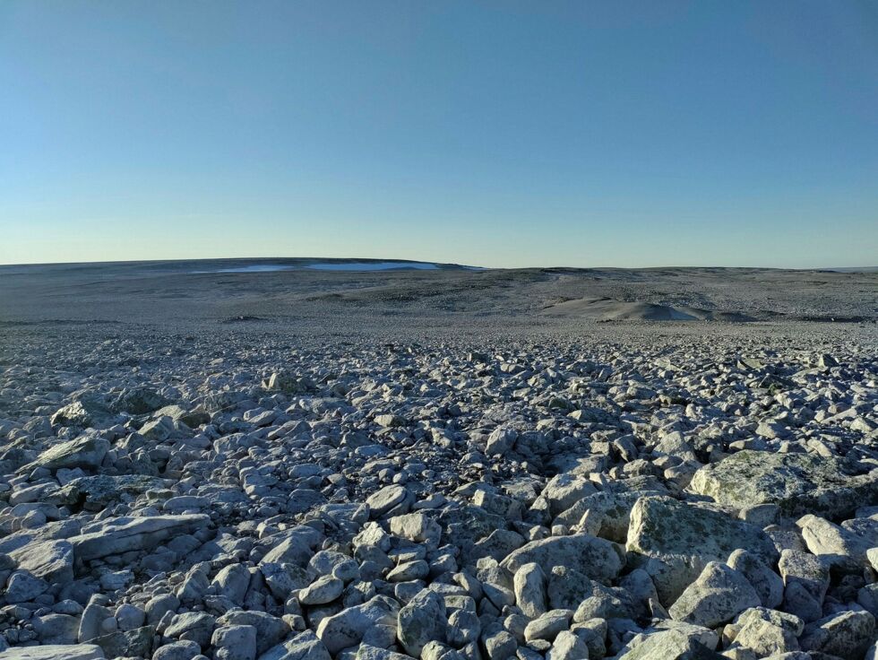 Fra området der Davvi vindkraft er planlagt. Selv om området ser livløst ut, er det et viktig område for reindrifta. Når reinen ikke beiter, søker den slike høyereliggende steder, skriver  Folkeaksjonen mot Davvi vindkraftverk (Privat foto)