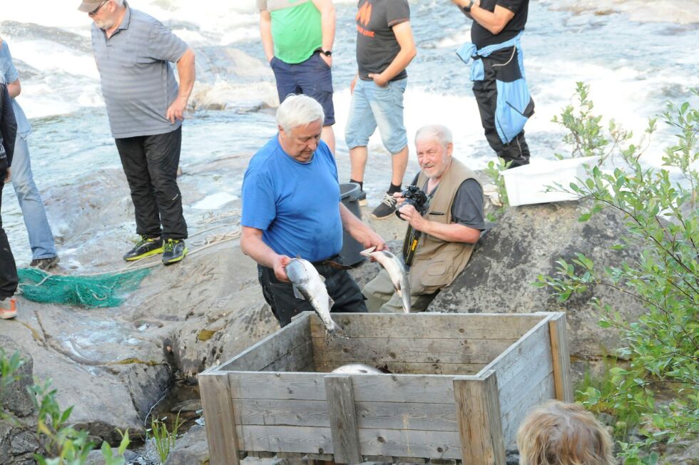 Harald Komeros hadde ansvaret for at russelaksen havna i denne kassa, før den ble sløyd og gitt bort.
 Foto: Hallgeir Henriksen