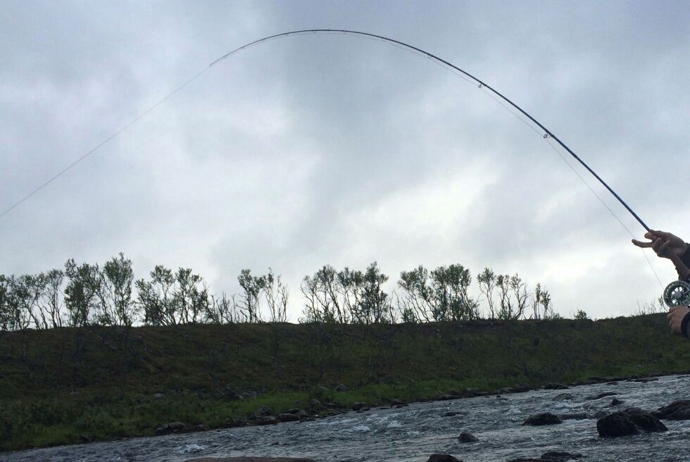 Det er i de nye retningslinjene for forpaktning av elvene presisert at nærhet til elvene skal gi fordeler blant annet ved tildeling av kvoter.
 Foto: Arkivfoto