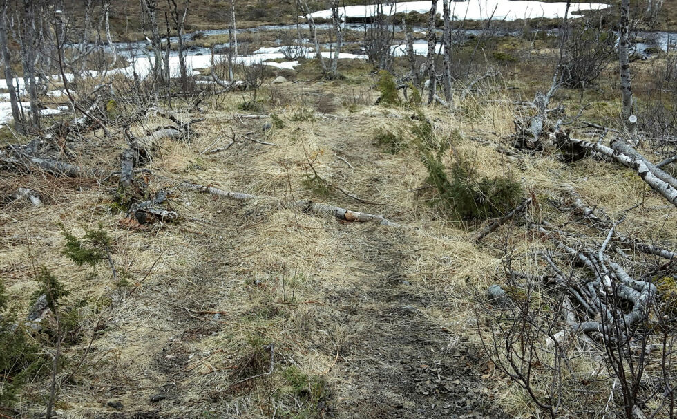 Herdis Gaup Aamot forklarer til kommisjonen hvor inderlig mye det hadde betydd for henne, og etterkommerne hennes, og få bygd opp gamma etter sin far og bestefar. Skjermdumpen er fra meldingen hennes.
 Foto: Skjermdump