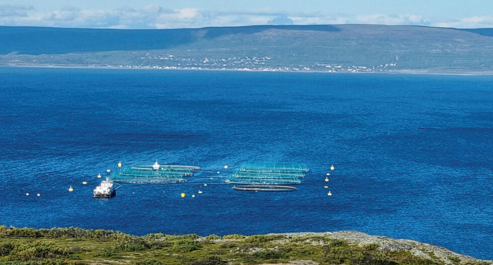 – I Var­ang­er­fjord­en har vi gjen­nom­gått en stor an­del mil­jø­un­der­søk­el­ser, og data fra dis­se un­der­søk­el­se­ne vi­ser ikke lo­kal for­ring­el­se av vann­fore­koms­ten, sier miljødirektør Lisa Bjørnsdatter Helgason hos Statsforvalteren i Troms og Finnmark.
 Foto: Torbjørn Ittelin