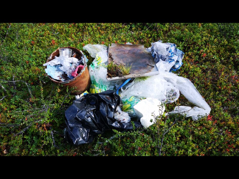 Pynter ikke akkurat opp i lyngen...
 Foto: Henrik Kolstrøm