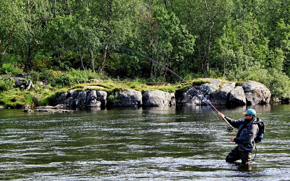 Grunnet coronasituasjonen ventes det god plass i lakseelvene i Norge denne sommeren. 
Illustrasjonsfoto: Lakselv grunneierforening