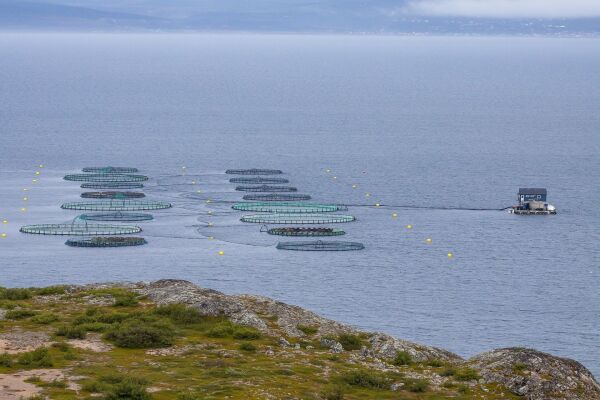 Havbruksnæringen er Nord-Norges gylne mulighet