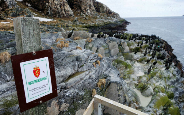 Forbudt å ferdes i tre naturreservater