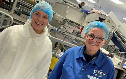 Verdien av flere i arbeid