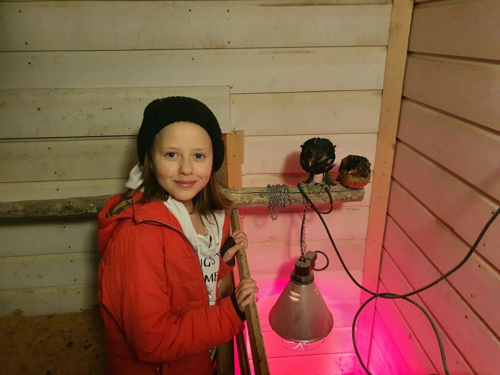 Maja Pe­der­sen Bren­li med Søtnos og Fjørdis, de ble født 13. no­vem­ber og er av ra­sen Pavlovskaya, og skal tåle tem­pe­ra­tu­rer ned mot mi­nus 36 gra­der.
 Foto: Tom Hardy