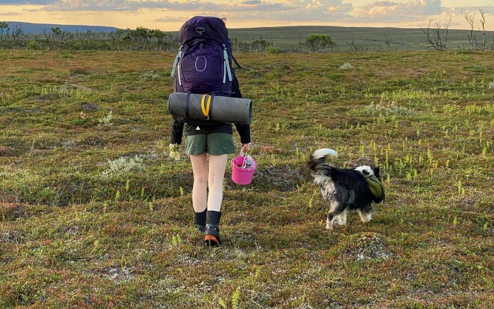 Uberørt natur, grunnen til at mange bor her nord.. Skal vi la griske selskaper utenfra komme med falske eventyrløfter om gull og grønne skoger, bare for å tjene seg rike ved å rasere den for alltid, spør debattanten
(Privat foto)