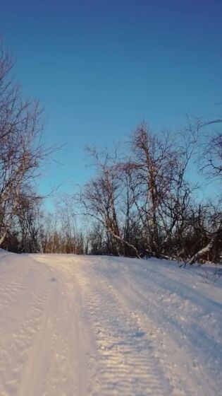 Dronevideo fra løypa