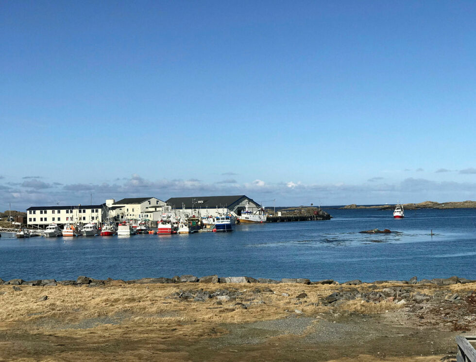 Vårstemning på Ingøy
 Foto: Privat