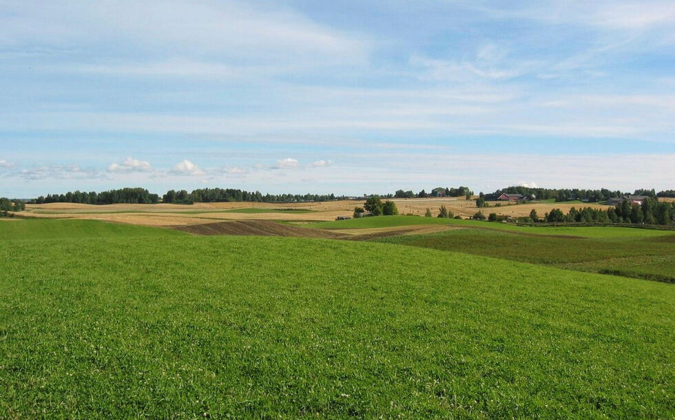 I Finn­mark ble kun 15 de­kar om­dis­po­nert fra jord­bruks­are­al til and­re for­mål i 2024.
 Foto: Landbruksdirektoratet