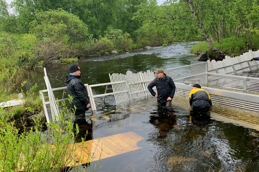 Her gjør Anders Mikkola, Martin Meslo og Even Borthen Nilsen det siste arbeidet på laksefella i Karpelva i Jarfjord.
 Foto: Privat
