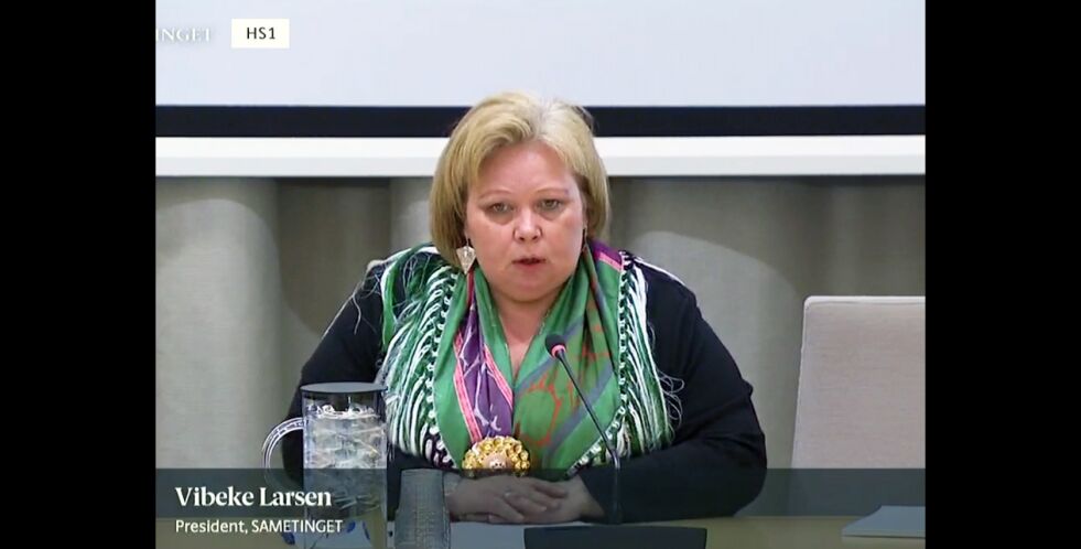 Her fremfører sametingspresident Vibeke Larsen samenes syn i finanskomiteens høring.
 Foto: Stortinget