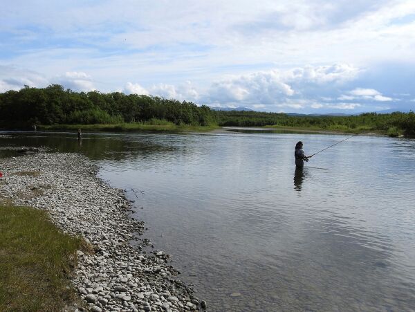 Naturvernforbundet: Stopp laksefiske – lenge leve oppdrett
