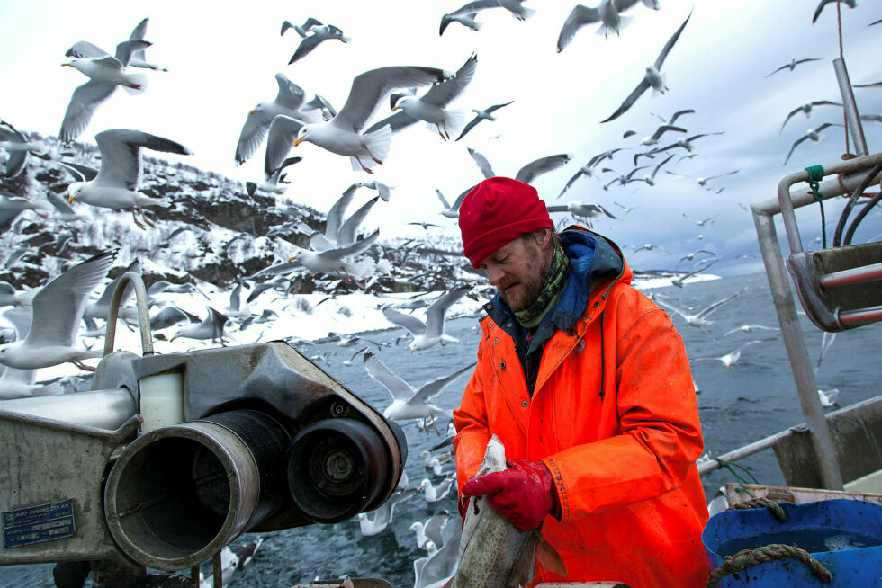 Sjarkfisker Bernt Wilhelmsen lurer på hvor Havforskningsinstituttet henter tallene sine fra, og mener bestemt de opererer med feil tall.
 Foto: Leif Gabrielsen