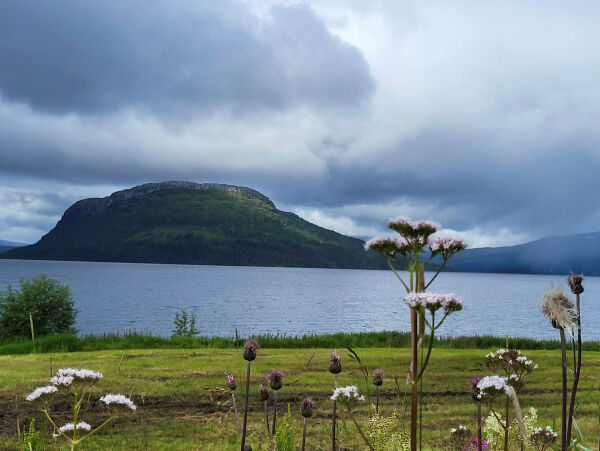 Tjåehkere/Gudfjelløya i Tunnsjøen