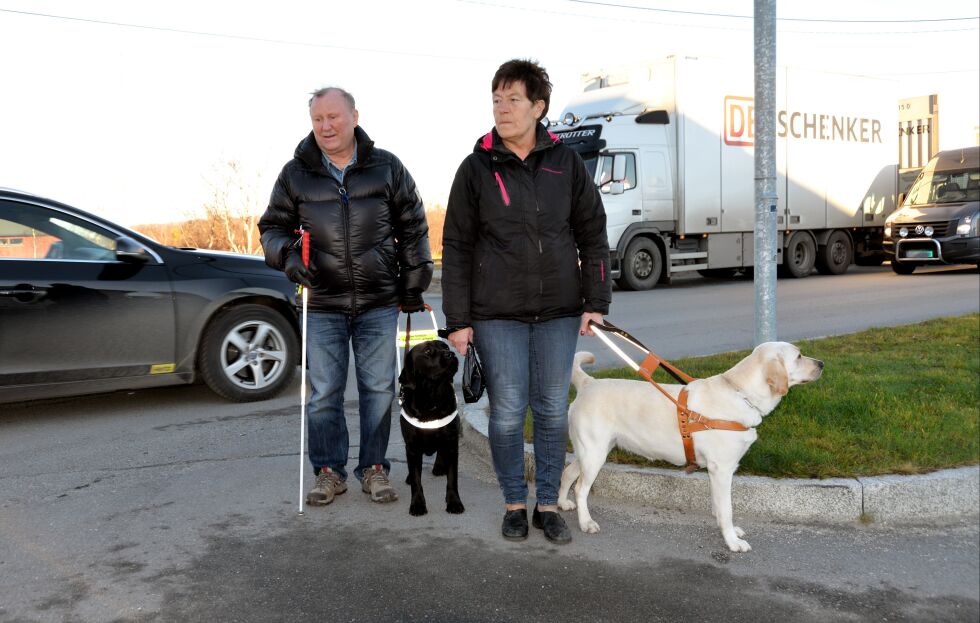 Det blir ekstra vanskelig for blinde å krysse en umerket vei med førerhunder når det står store biler parkert med motoren i gang, slik Brynjar Mathisen og Gunhild Eriksen opplevde i Laatasveien onsdag.
 Foto: Sonja E Andersen