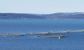 900 millioner ekstra i Havbruksfondet