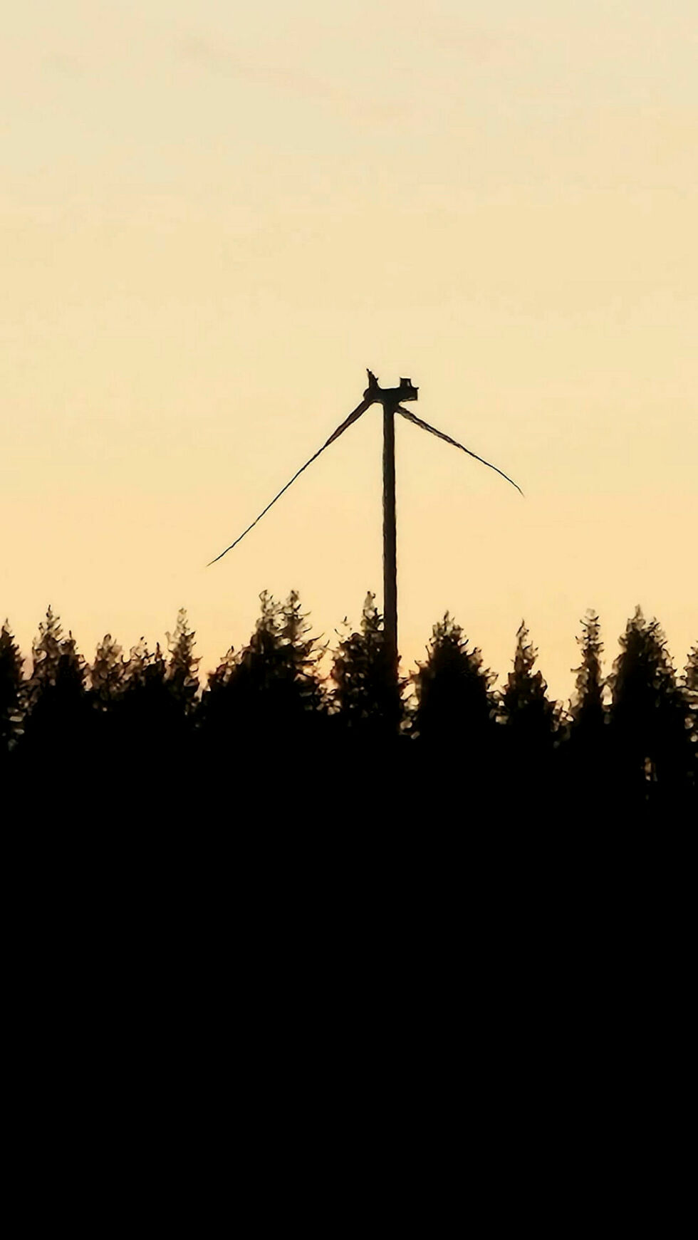 72 meter lange rotorblader, 22 tonn hver. Kim Jonny Karlsen i Nord-Odal tok dette bildet av den ødelagte vindturbinen på Engerfjellet fra verandaen sin i 20.30-tiden onsdag kveld. Han har også delt bildet på facebookgruppen Motvind Odal.
 Foto: Kim Jonny Karslen