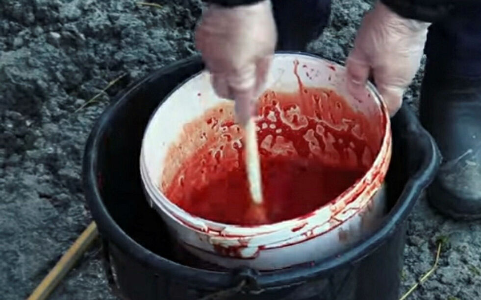 Skjermdump av Senter for nordlige folks film, som er lagt ut på YouTube.
 Foto: Skjermdump