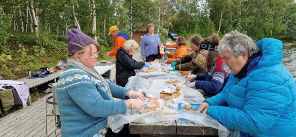Fiskeskinn – nyttig til så mangt