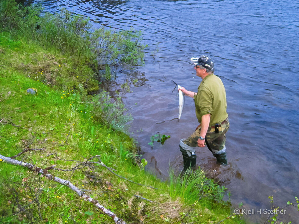 Laksefiske.
 Foto: Kjell Sæther