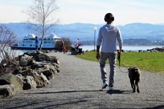 Gledelig satsing på kollektiv