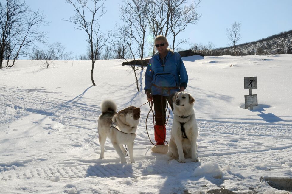Randi Lille var ute på langtur med hundene Fram (til venstre) og Frost tirsdag denne uken. Hun hadde gått fra Torhop til Tarmfjordbotn, en strekning på ni kilometer, og skulle gå hjem igjen.
 Foto: Tom Hardy