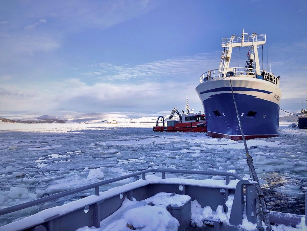 Her er det en russisk tråler som får assistanse av to båter under slep ved kai i Kirkenes.
 Foto: Helge Stærk