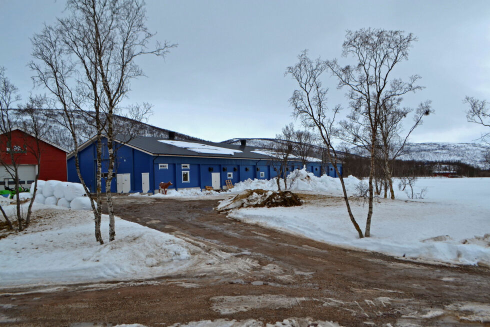 Bøndene i Finnmark ønsker å øke produksjonen.
 Foto: Tom Hardy