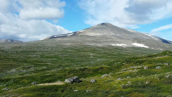 – Nei, NHO – naturen skal ikke ofres