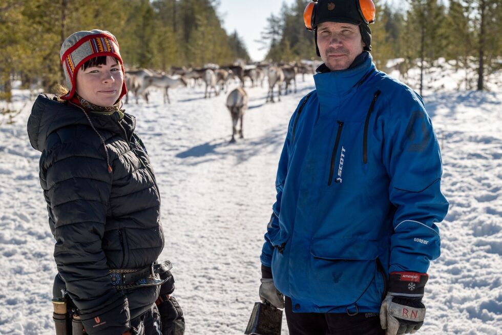 Katarina Sevä and Ronny Nyström vil ha stopp i Sveaskogs hogst i Pajala og Muonio området.  FOTO: RASMUS TÖRNQUIST/GREENPEACE