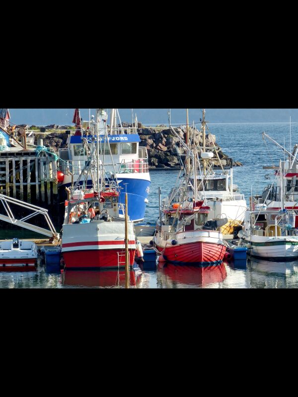 Kamp for Kamøyvær havn