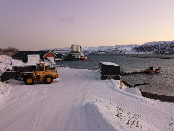 Bedrift i Båtsfjord skal være innblandet i svart salg