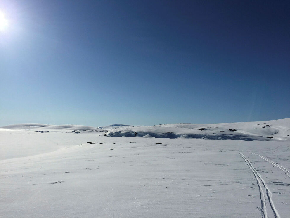 Bákteravddajávri i Ytre Porsanger før vindkraft. Et område hvor det planlegges vindturbiner.
 Foto: Irene Andersen