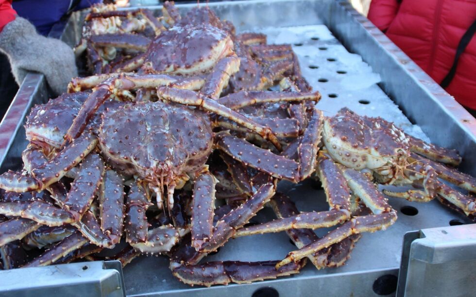 Krabbefiskeren må svare for brudd på havressursloven når han møter i retten i neste måned.
Illustrasjonsfoto: Torbjørn Ittelin