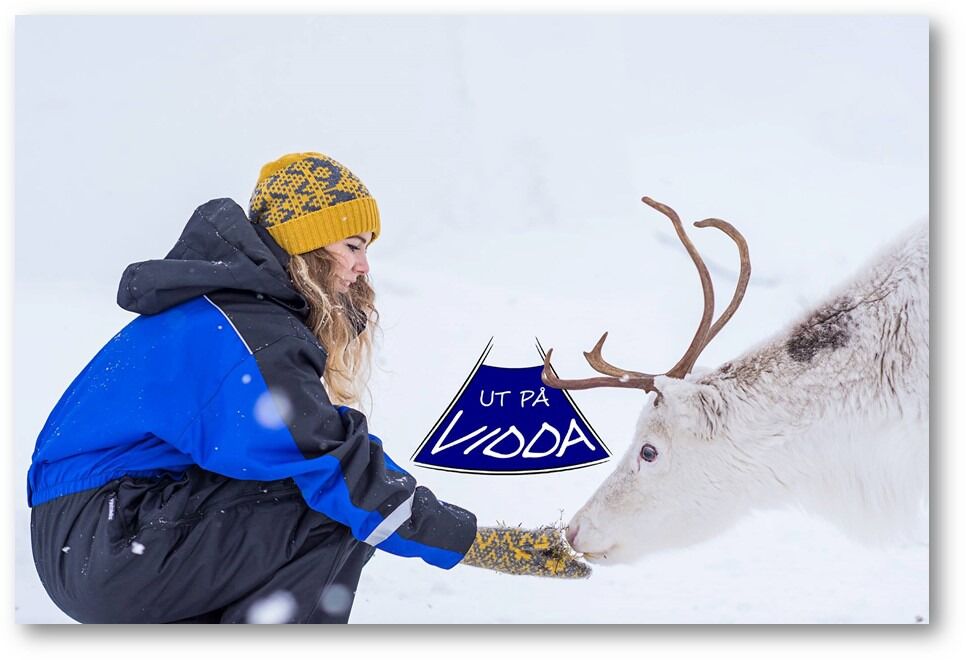 30 reineiere har vist interesse for ny næringsvirksomhet, melder fylkesmannen i Troms og Finnmark, om «Ut på vidda»-prosjektet der reineiere omskoleres til å kunne drive opplæring og omsorg.
 Foto: Fylkesmannen i Troms og Finnmark