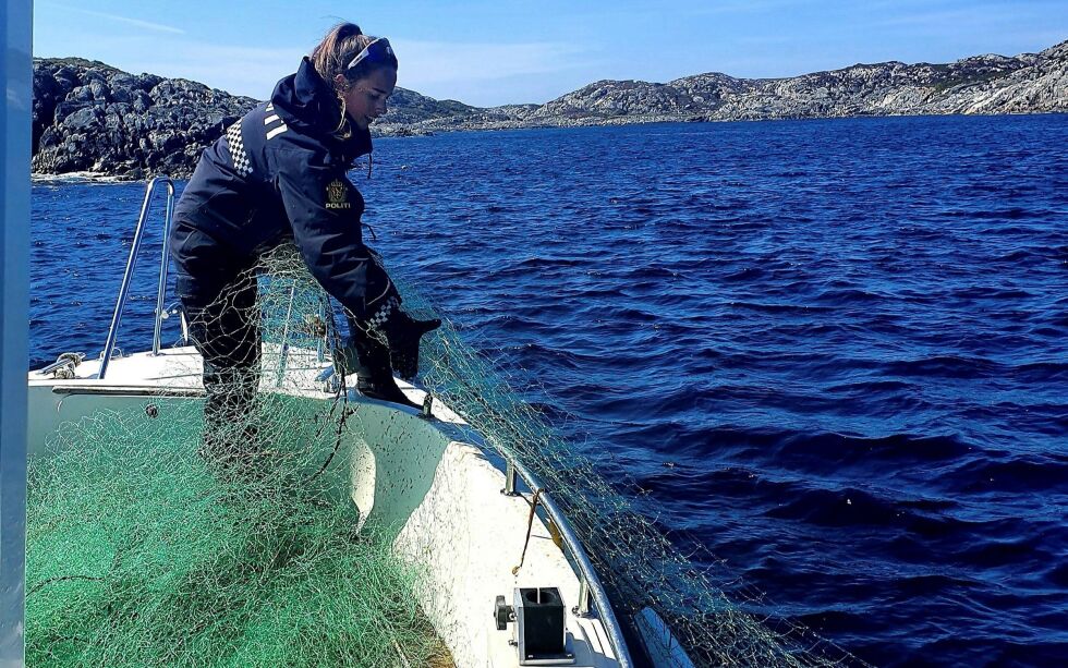 Miljødirektoratet ser gjerne at de får tips om noen mener de ser ulovlig fiske.
ILL. FOTO: Miljødirektoratet/SNO